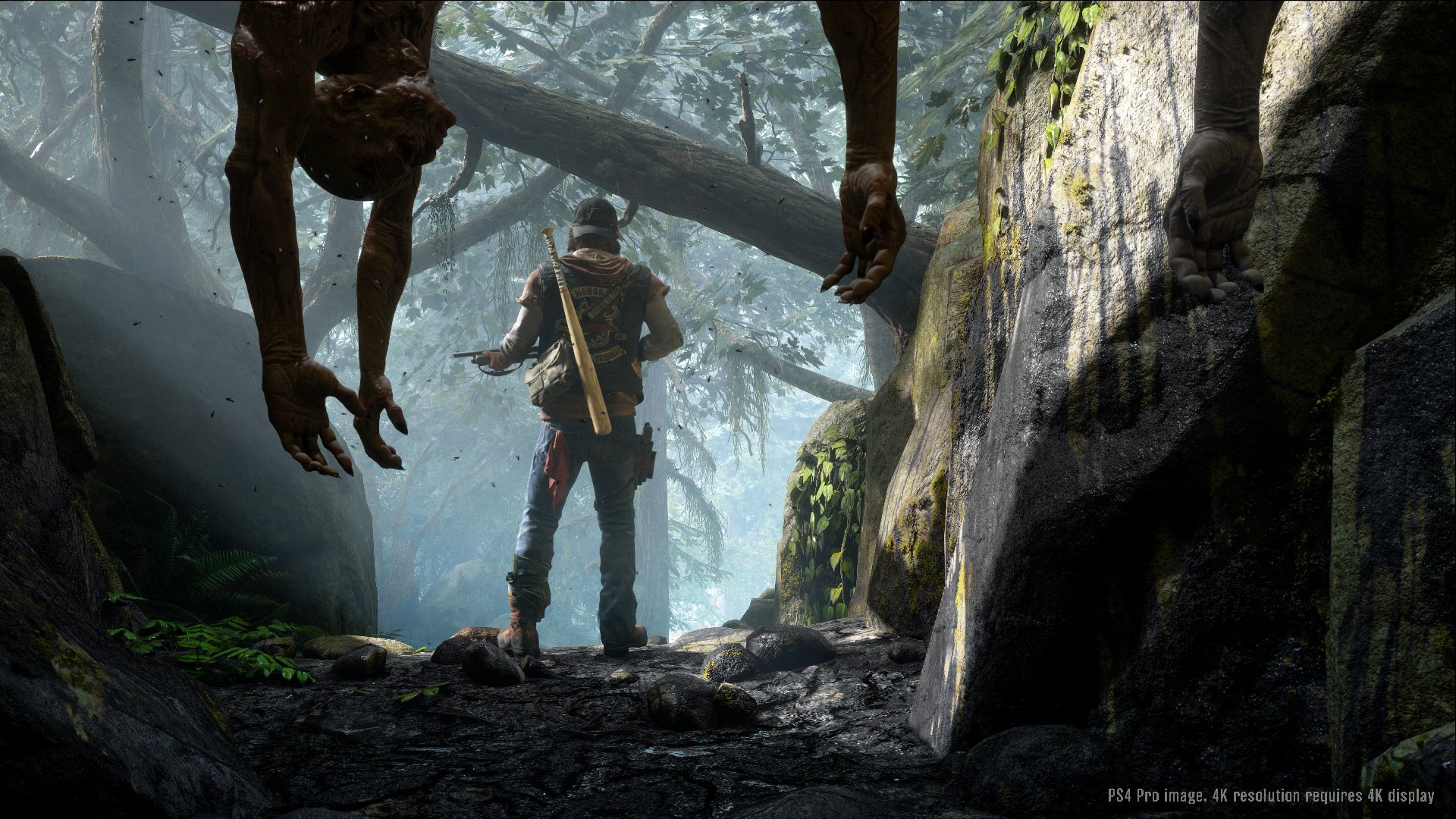 Days Gone - Imagen 23